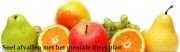 Het Mentale Dieet Plan